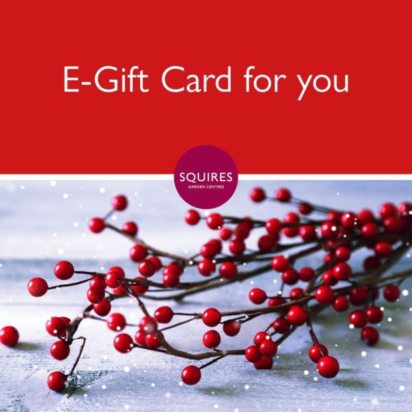 Squire's E-Gift Card - Berries